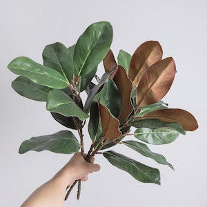 May include: A bundle of artificial magnolia branches featuring large, oval-shaped leaves. The leaves display a dual-tone appearance with a deep, glossy green on the top surface and a contrasting metallic copper-brown colour on the underside.