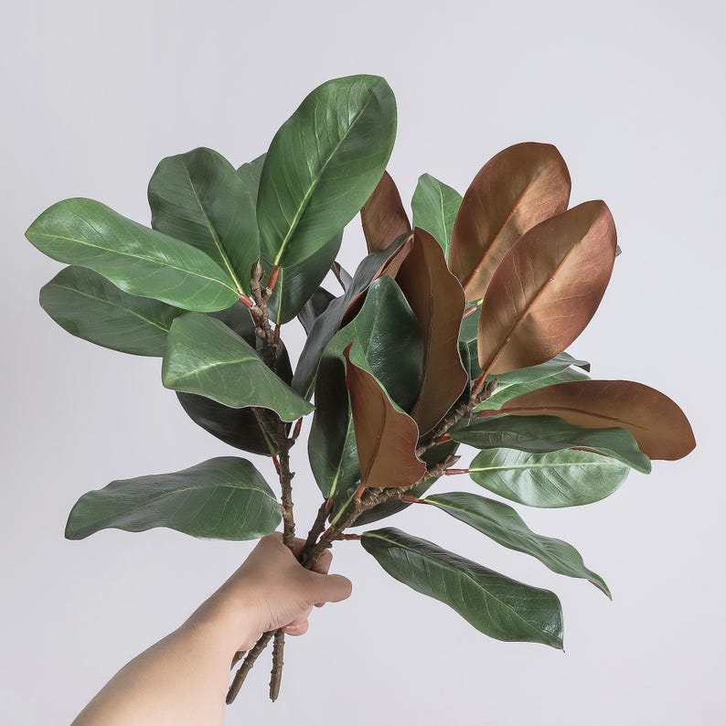 May include: A bundle of artificial magnolia branches featuring large, oval-shaped leaves. The leaves display a dual-tone appearance with a deep, glossy green on the top surface and a contrasting metallic copper-brown colour on the underside.