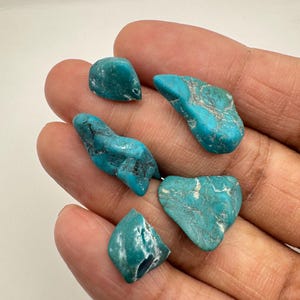 Può includere: Cinque piccole pietre di turchese irregolari con vivaci tonalità blu-verdi e venature scure a ragnatela. Ogni pezzo presenta una superficie liscia e lucida con forme naturali uniche, mostrando texture variegate e distinti motivi minerali.