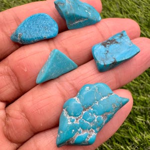 Puede incluir: Cinco piezas pequeñas e irregulares de piedra turquesa brillante con formas y texturas variadas. Algunas piezas muestran superficies azules lisas y sólidas, mientras que otras presentan intrincados patrones de vetas de matriz marrón o gris.