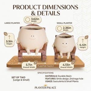 A whimsical cream-colored round face planter with a simple painted smile, sitting relaxed in a miniature brown wooden rocking chair. The cute character pot has small legs dangling down and is holding a vibrant pink and green fittonia nerve plant on a rustic wooden table.