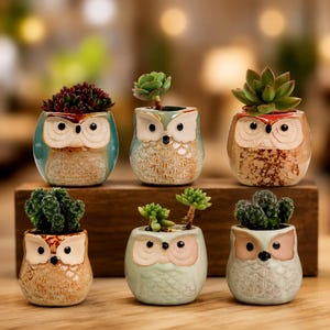 May include: A collection of six ceramic owl-shaped planters, each featuring a unique glaze color and texture. These small pots are arranged in two rows and contain various small green succulents and cacti, showcasing detailed owl facial features.