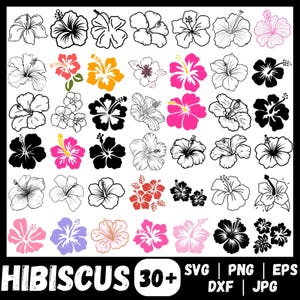 Peut inclure: Une collection de plus de 30 motifs de fleurs d'hibiscus dans divers styles. Les fleurs sont en noir et blanc, rose, orange, rouge et violet. Le mot "HIBISCUS" est en bas, avec des options de type de fichier.