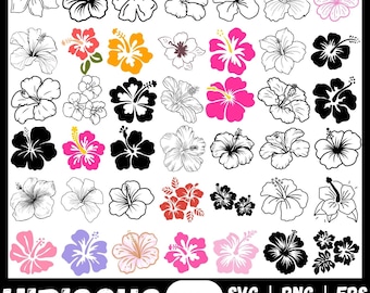 Hibiskus Blume SVG Bundle, Tropische Blumen Clipart (digitaler Download)