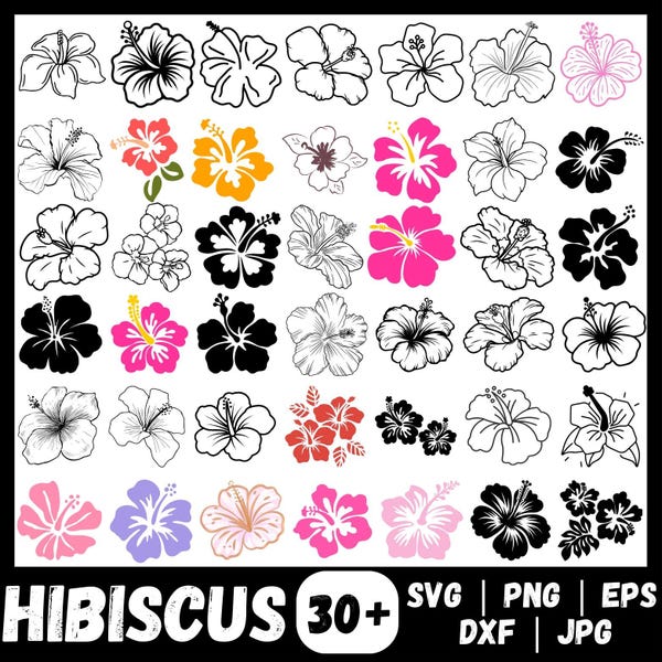 Hibiscus Flower SVG Bundle, Tropical Floral Clipart (Digital Download)