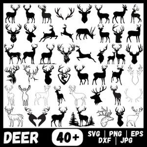 May include: A collection of over 40 deer silhouettes in various poses and styles, including full body, head, and antler designs. The word "DEER" and "40+" are displayed in white text on a black background, along with file type icons.