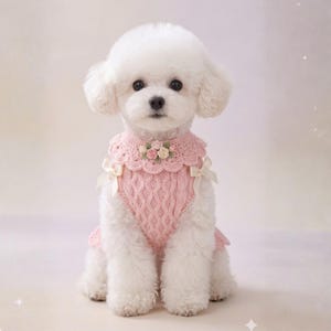 Puede incluir: Un perro pequeño y blanco que lleva un suéter rosa tejido con un cuello festoneado. El suéter presenta un diseño de punto de cable, adornos florales y pequeños lazos blancos. El perro está sentado y mirando directamente a la cámara.