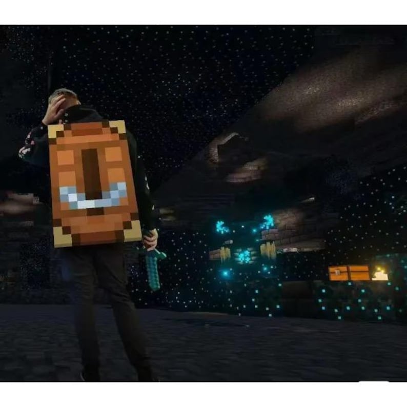 May include: A Minecraft-style character seen from behind, wearing a brown rectangular shield with a central vertical design and a light blue accent. The character holds a light blue pixelated sword in one hand, set against a dark, starry environment.