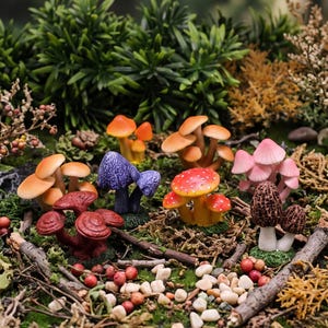 May include: A collection of miniature decorative mushrooms in various colours including orange, purple, red with white spots, pink, dark red, and brown. The mushrooms are arranged on a mossy surface with small white pebbles and twigs.