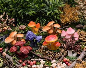 May include: A collection of miniature decorative mushrooms in various colors including orange, purple, red with white spots, pink, dark red, and brown. The mushrooms are arranged on a mossy surface with small white pebbles and twigs.