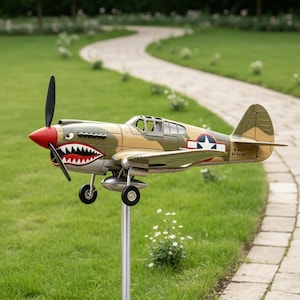 Può includere: Un modello di aereo con un design mimetico, naso rosso e bocca di squalo dipinta sulla parte anteriore. L'elica è nera e le ali presentano una stella bianca su sfondo blu. L'aereo è montato su un palo d'argento in un'area erbosa.