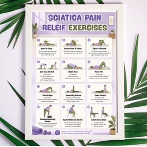 May include: A framed poster with the title "Sciatica Pain Relief Exercises" in purple and green. The poster displays 12 illustrated exercises with instructions, including Knee to Chest, Child's Pose, and Cobra Stretch. The frame is white.