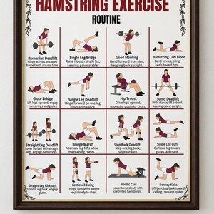 K&ouml;nnte beinhalten: Ein gerahmtes Lehrplakat mit dem Titel HAMSTRING EXERCISE ROUTINE, das sechzehn Illustrationen von Personen bei verschiedenen &Uuml;bungen zeigt. Jedes Feld enth&auml;lt einen Titel und kurze schriftliche Anweisungen f&uuml;r Bewegungen wie Kreuzheben, Br&uuml;cken und Curls.