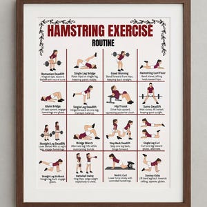 K&ouml;nnte beinhalten: Ein gerahmtes Lehrplakat mit dem Titel HAMSTRING EXERCISE ROUTINE, das sechzehn illustrierte Diagramme von Personen bei verschiedenen &Uuml;bungen mit Textbeschreibungen f&uuml;r jede Bewegung auf wei&szlig;em Hintergrund mit dunkelbraunen R&auml;ndern zeigt.