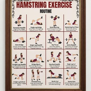 Può includere: Un poster didattico incorniciato intitolato HAMSTRING EXERCISE ROUTINE che presenta sedici illustrazioni di persone che eseguono vari esercizi. Ogni sezione include un titolo e brevi istruzioni testuali per movimenti come stacchi, ponti e curl.