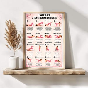 May include: A rectangular poster titled Lower Back Strengthening Exercises featuring sixteen numbered illustrations of a person in pink athletic wear performing various fitness movements, with instructional text and repetition counts for each exercise.