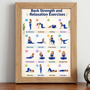 May include: A framed instructional poster titled Back Strength and Relaxation Exercises, featuring sixteen numbered illustrations of a person in blue athletic wear performing various stretches, including Back WarmUp, Cat Stretch, and ChildPose.