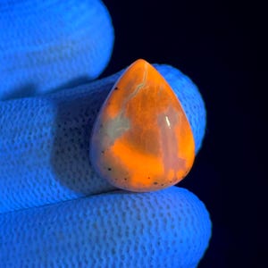 May include: A teardrop-shaped cabochon gemstone displaying vibrant orange fluorescence under ultraviolet light, featuring translucent white patches and small dark inclusions, set against a dark background with a bright blue glow.