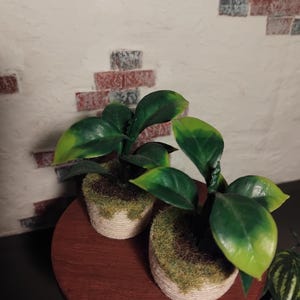 May include: Two miniature potted plants with green and yellow leaves. The pots are wrapped in twine and topped with moss. The plants sit on a small, round, dark wood table. The background features a white wall with brick accents.