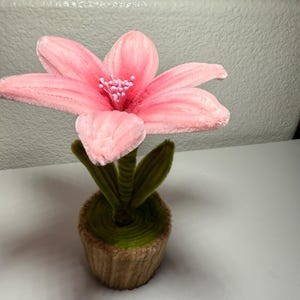 May include: A pink, plush flower with a green stem and leaves, set in a brown and green pot. The flower has multiple petals and a cluster of pink beads at its center. The pot has a textured, woven appearance.