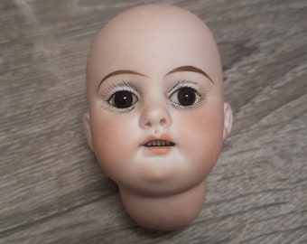 Ancienne tête de poupée en biscuit de porcelaine des années 1900 avec des yeux en verre Amodep, fabrication allemande