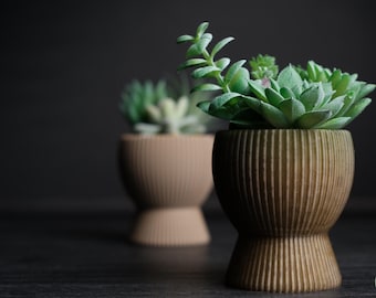 Mini maceta moderna | Impresa en 3D | Maceta de diseño para suculentas