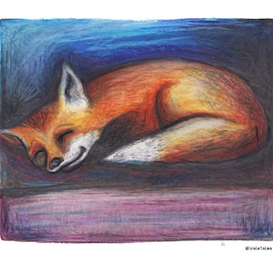 Può includere: Illustrazione a matita colorata di una volpe che dorme. La volpe è arancione e bianca, raggomitolata in uno spazio rettangolare con uno sfondo blu e viola. La volpe sorride con gli occhi chiusi. La firma dell'artista è in basso a destra.