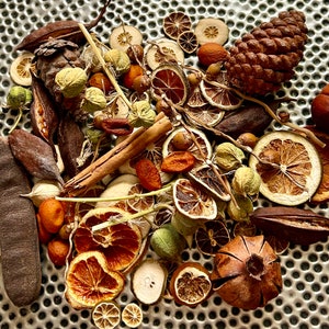 Natural Dried Citrus & Pinecone Potpourri - 11.5 oz Bag