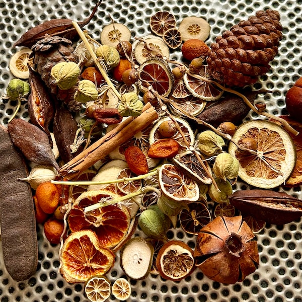 Natural Dried Citrus & Pinecone Potpourri -  Desert Coachella Valley Hand Wildcrafted