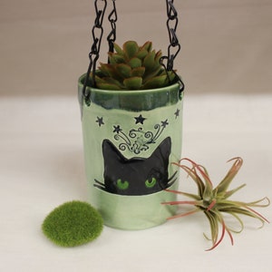May include: A light green ceramic hanging planter with a black cat face design and green eyes. The planter is filled with a green succulent plant and is suspended by a black chain. Decorative stars and swirls are also on the planter.