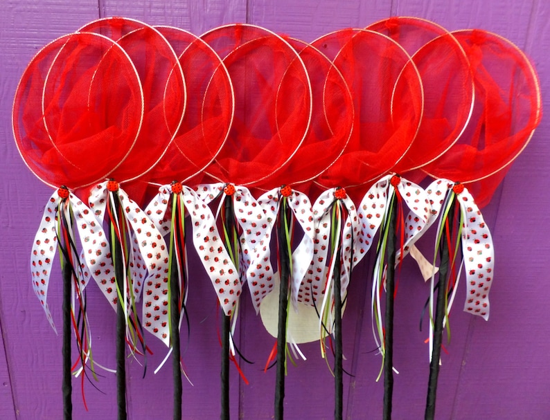 Ladybug Nets Butterfly Nets Birthday Party Favors Etsy