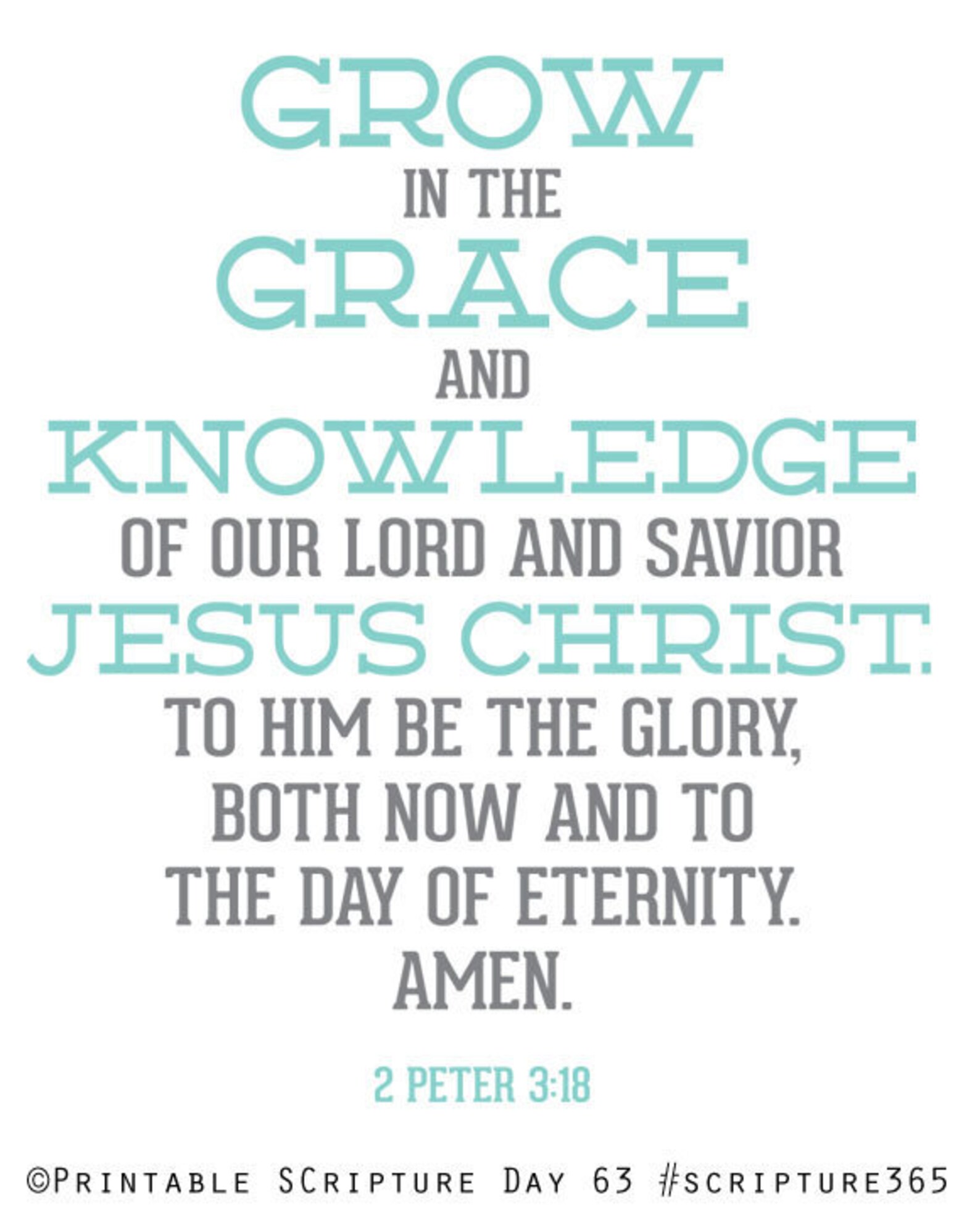 2 Peter 3:18. Grow in Grace. 8x10. DIY. Printable Christian Poster. PDF ...