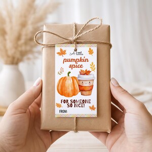 Può includere: Un'etichetta regalo rettangolare con sfondo bianco, caratterizzata da un'illustrazione ad acquerello di una zucca arancione e una tazza di caffè con un volto. Il testo recita A little pumpkin spice FOR SOMEONE SO NICE! FROM: con foglie arancioni.
