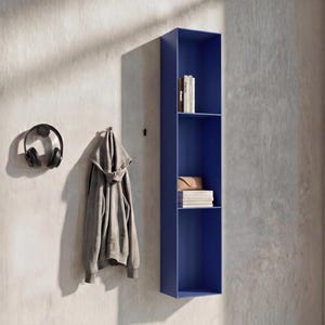 Slim Vertical Metal Wall Shelf – Tall Floating Storage for Small Spaces, Modern Minimalist Wall Organizer