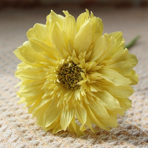 May include: A close-up of a large, yellow flower with numerous petals. The flower's centre is a darker shade of yellow and brown. The flower is likely a decorative item or part of a floral arrangement.