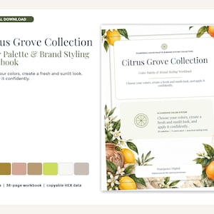 Citrus Grove Farbpaletten-Arbeitsbuch | 20 Markenpaletten | HEX-Codes, PNG-Karten, Styleguide