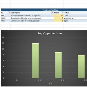 May include: A business data summary with two bar graphs and tables. The left graph, labeled "Top Risks," shows three red bars. The right graph, "Top Opportunities," displays three green bars. Tables above detail risks and opportunities.