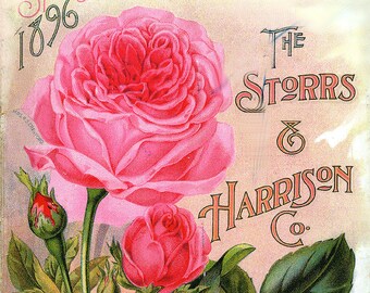 Storrs and Harrison Co 03 1896 Painesville, Ohio  Seed Company  Bright Colorful Print  Vintage Reproduction Print 11 x 17