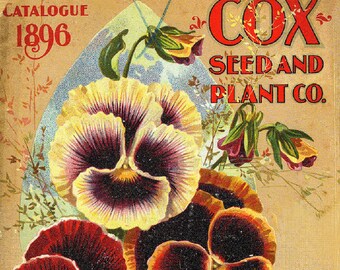 Cox Seed and Plant Co. 1896  Seed Company Bright Colorful Print  Vintage Reproduction Print 11 x17