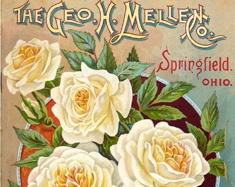 Mellen 03 Springfield, Ohio The Geo. H. Mellen Seed Company  Bright Colorful Print  Vintage Reproduction Print 11 x17