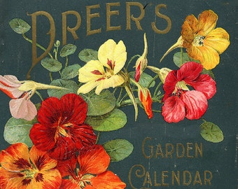 Dreer&#39;s 1899 Seed Company Bright Colorful Print  Vintage Reproduction Print 11 x17