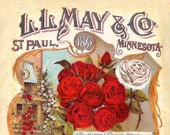 May L.L. May and Co. St. Paul Minnesota  Seed Company  Bright Colorful Print  Vintage Reproduction Print 11 x17