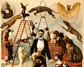 Trained Dog Act 1899 Circus Vibrant Colors 11 x 17 Reproduction Print Vintage