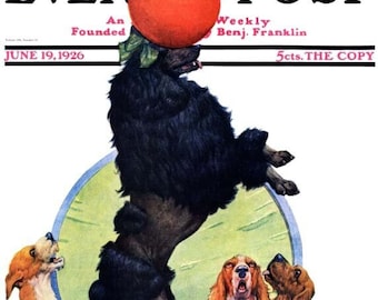 Saturday Evening Post June 19, 1926Cover Reproduction Giclee Print 11 x 14  Dogs Vintage