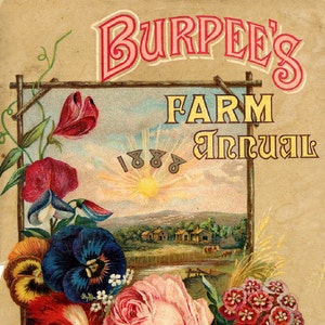 Burpee 08 1888 Seed Company leuchtend bunten Print Vintage Reproduktion Print 11 X17