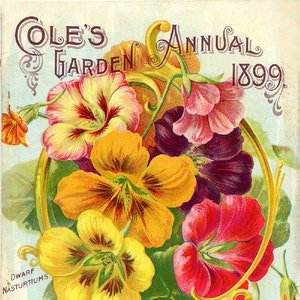 Cole&#39;s 08 1899 Seed Store Pella, Iowa Seed Company Bright Colorful Print  Vintage Reproduction Print 11 x17