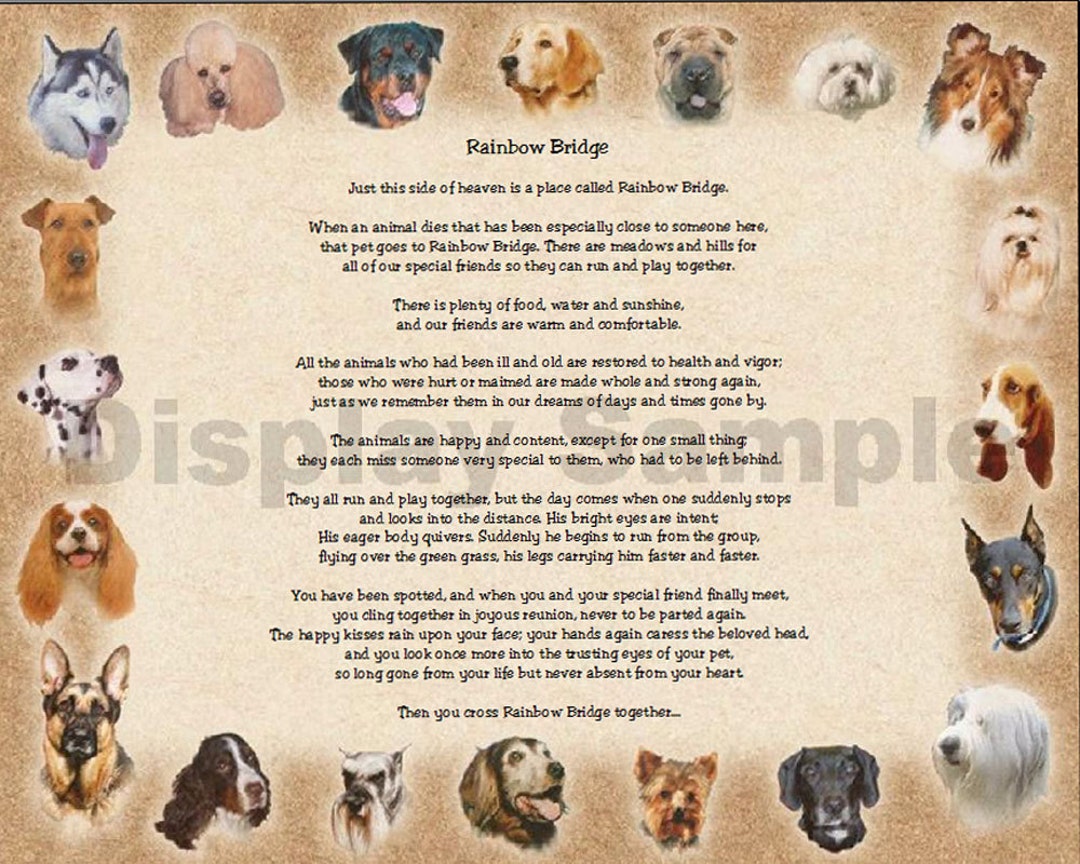Rainbow Bridge With Dogs Stationary Sentimental Print Perfect - Etsy