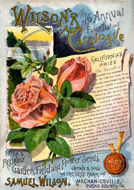 Vintage Seed Company Cover Reproduction Print! Willson's Seeds - Etsy