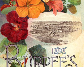 Vintage Seed Company Cover Reproduction Print! Burpee&#39;s Seeds Avertizement! 1898
