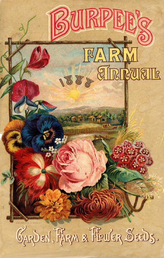 buy plant seeds online Heirloom Vegetable Seed Variety Pack – 6 Pack – Ferry-Morse main image 0